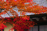 瑞光寺