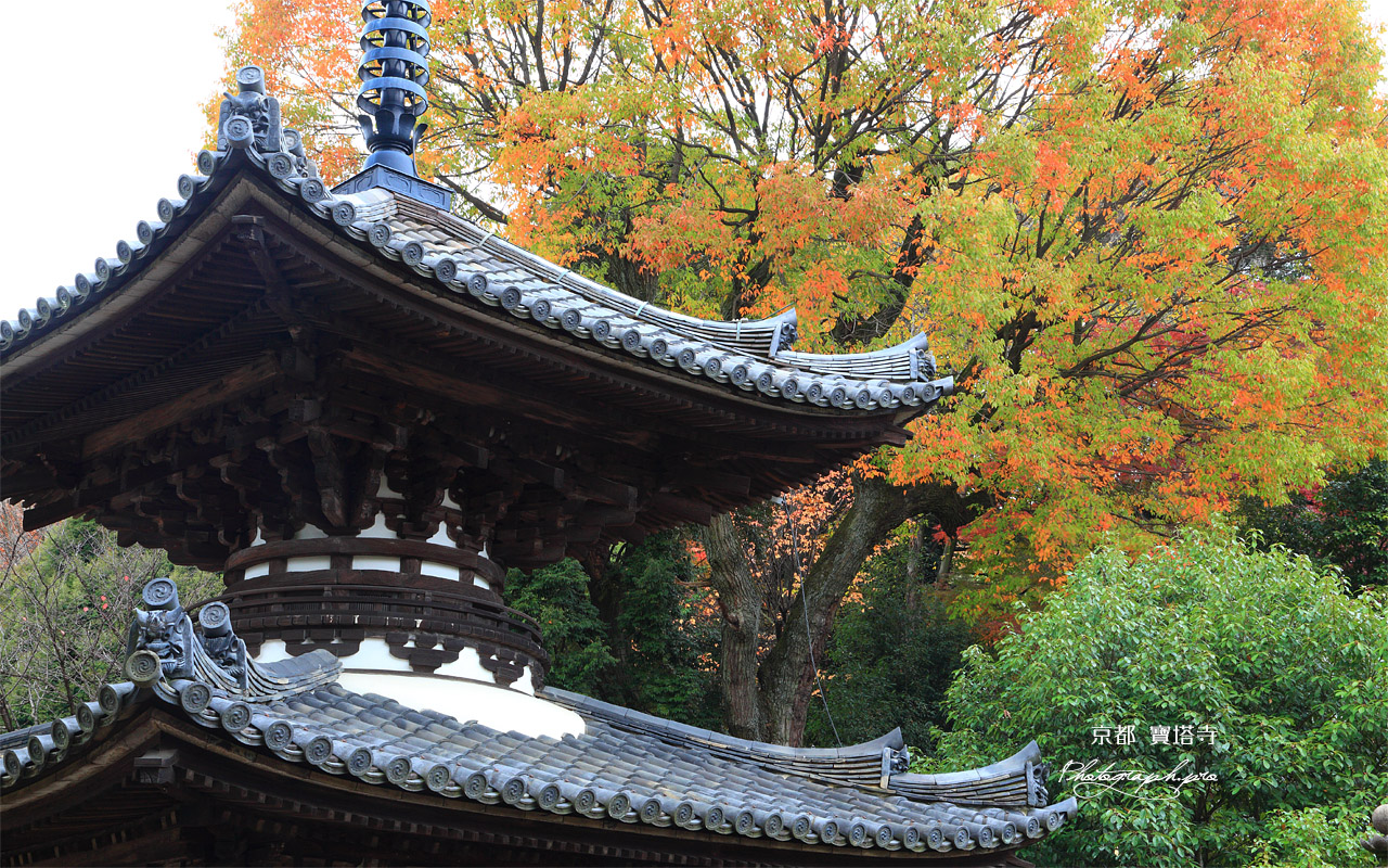 宝塔寺 多宝塔と椋黄葉 壁紙