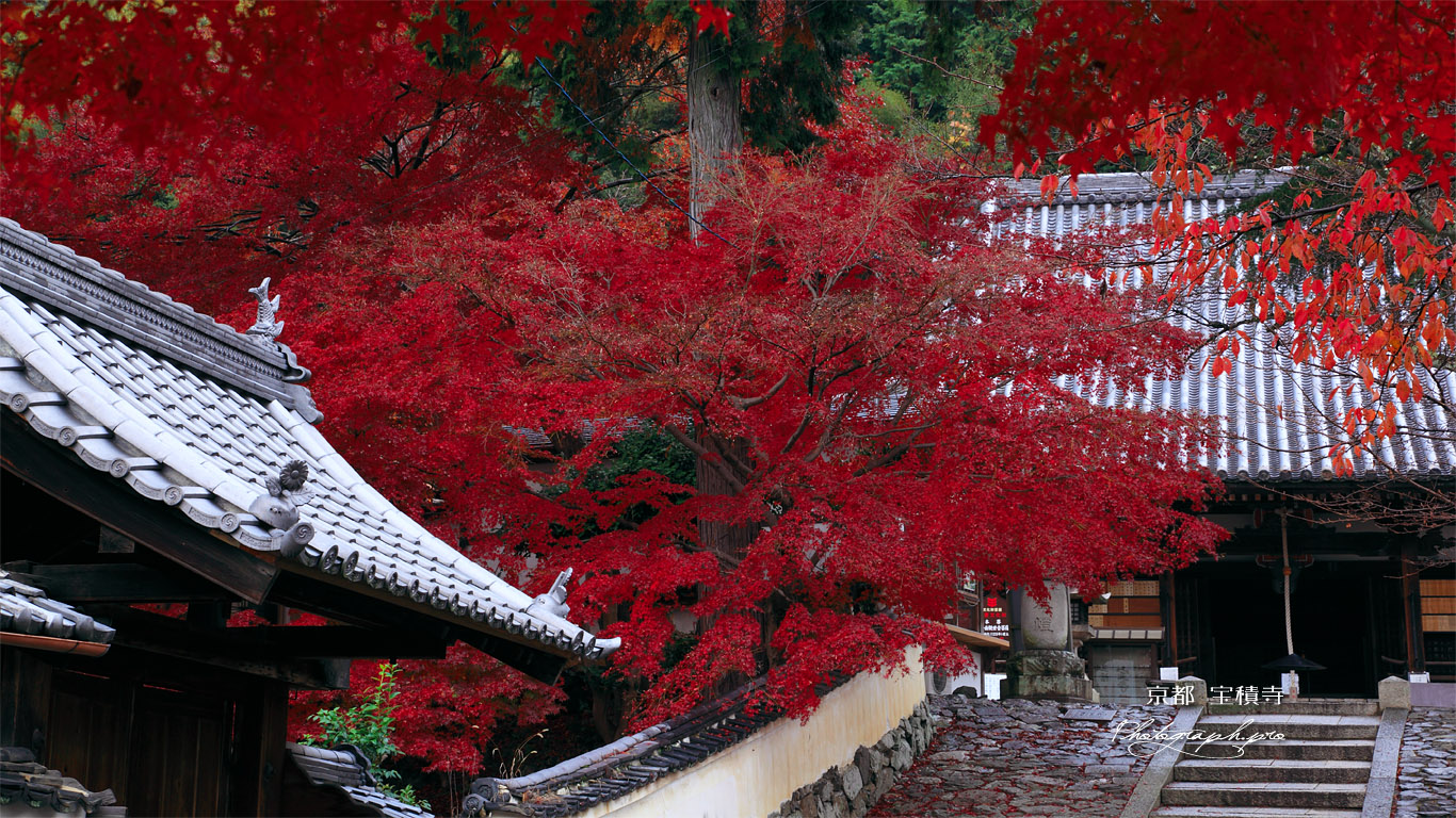宝積寺 紅葉の境内 壁紙