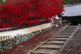 宝積寺 石段と紅葉