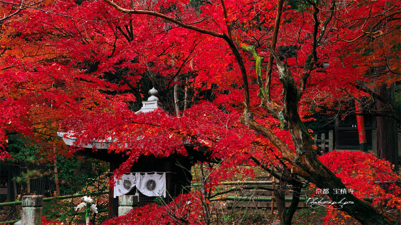 宝積寺 紅葉と弁才天堂 壁紙
