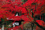 宝積寺 紅葉と弁才天堂