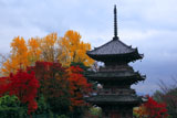 宝積寺 三重塔と紅葉