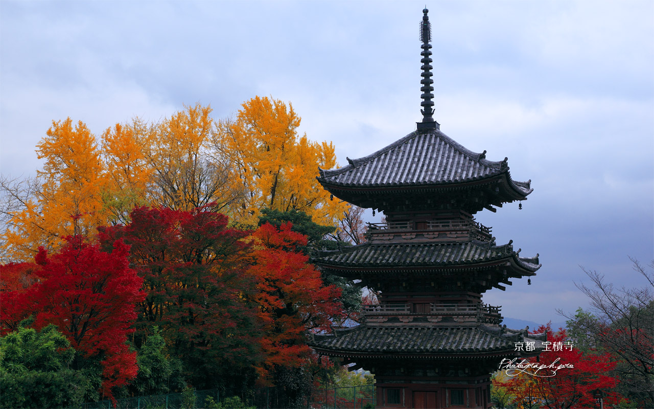 宝積寺 三重塔と紅葉 壁紙