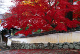宝積寺