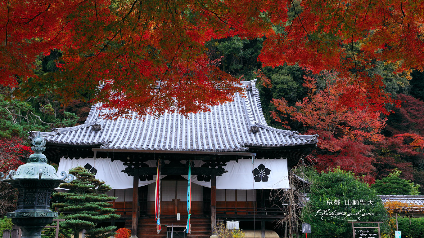 山崎聖天 紅葉と本堂 壁紙