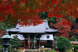 山崎聖天 紅葉と本堂