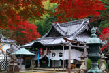 山崎聖天 紅葉と聖天堂