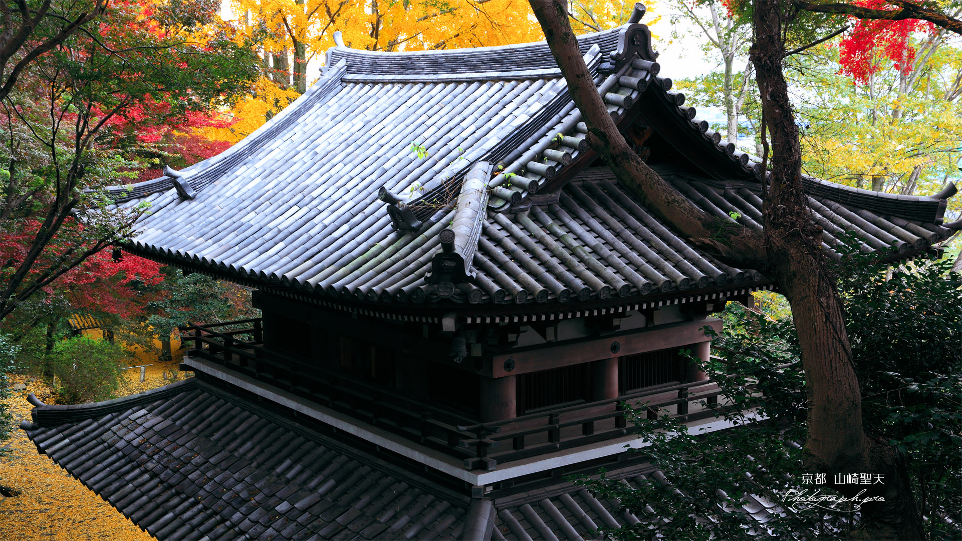 山崎聖天 紅葉の仁王門