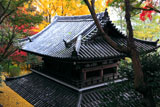 山崎聖天 紅葉の仁王門