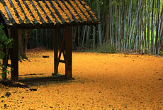 山崎聖天
