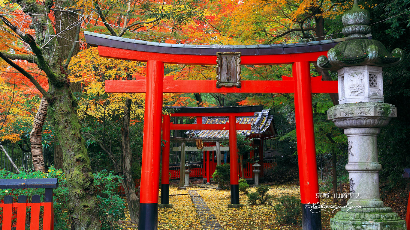 山崎聖天 紅葉の稲荷大明神 壁紙