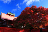 車折神社 芸能神社と紅葉