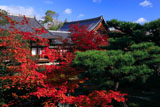 鹿王院 紅葉越しの客殿と庫裏