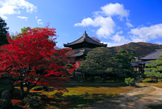 鹿王院