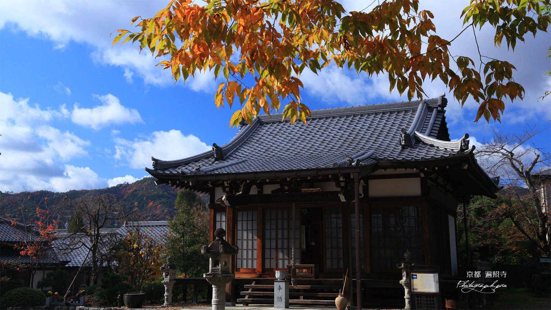 京都遍照寺 本堂