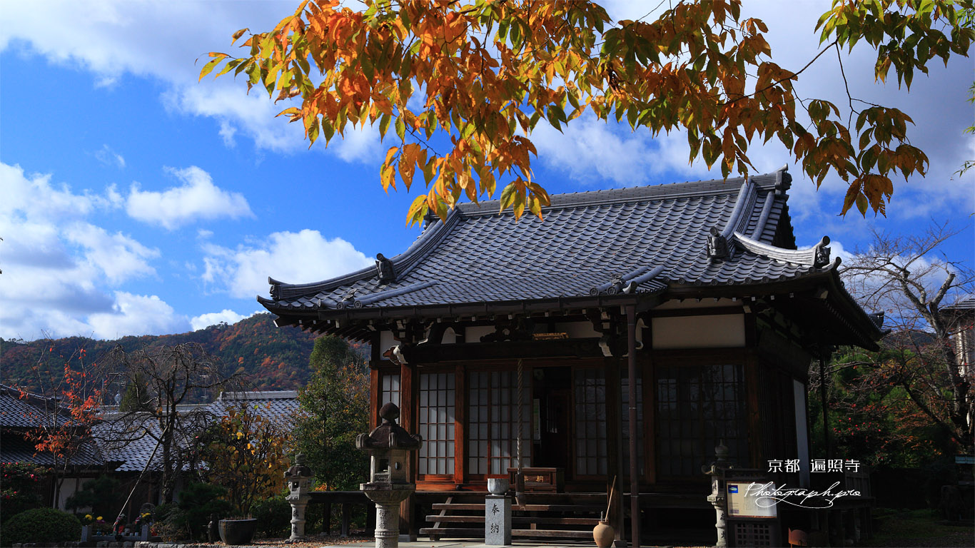 京都遍照寺 本堂 壁紙