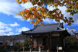 京都遍照寺 本堂