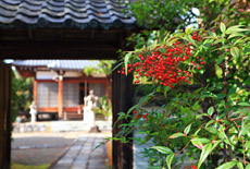 遍照寺