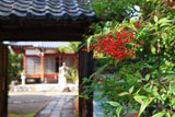 遍照寺