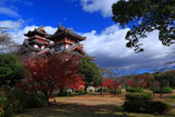 伏見桃山城 紅葉と天守閣