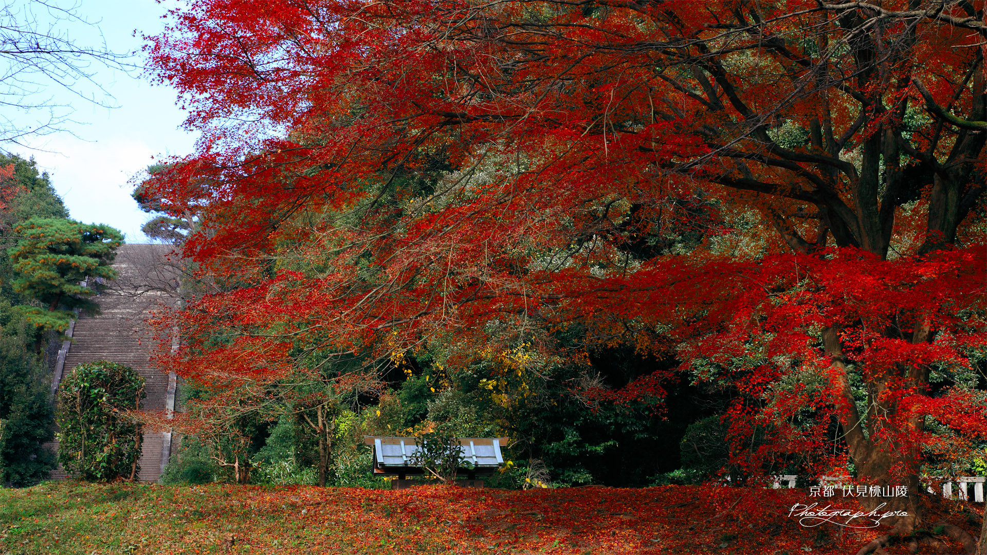 伏見桃山陵 紅葉と石段