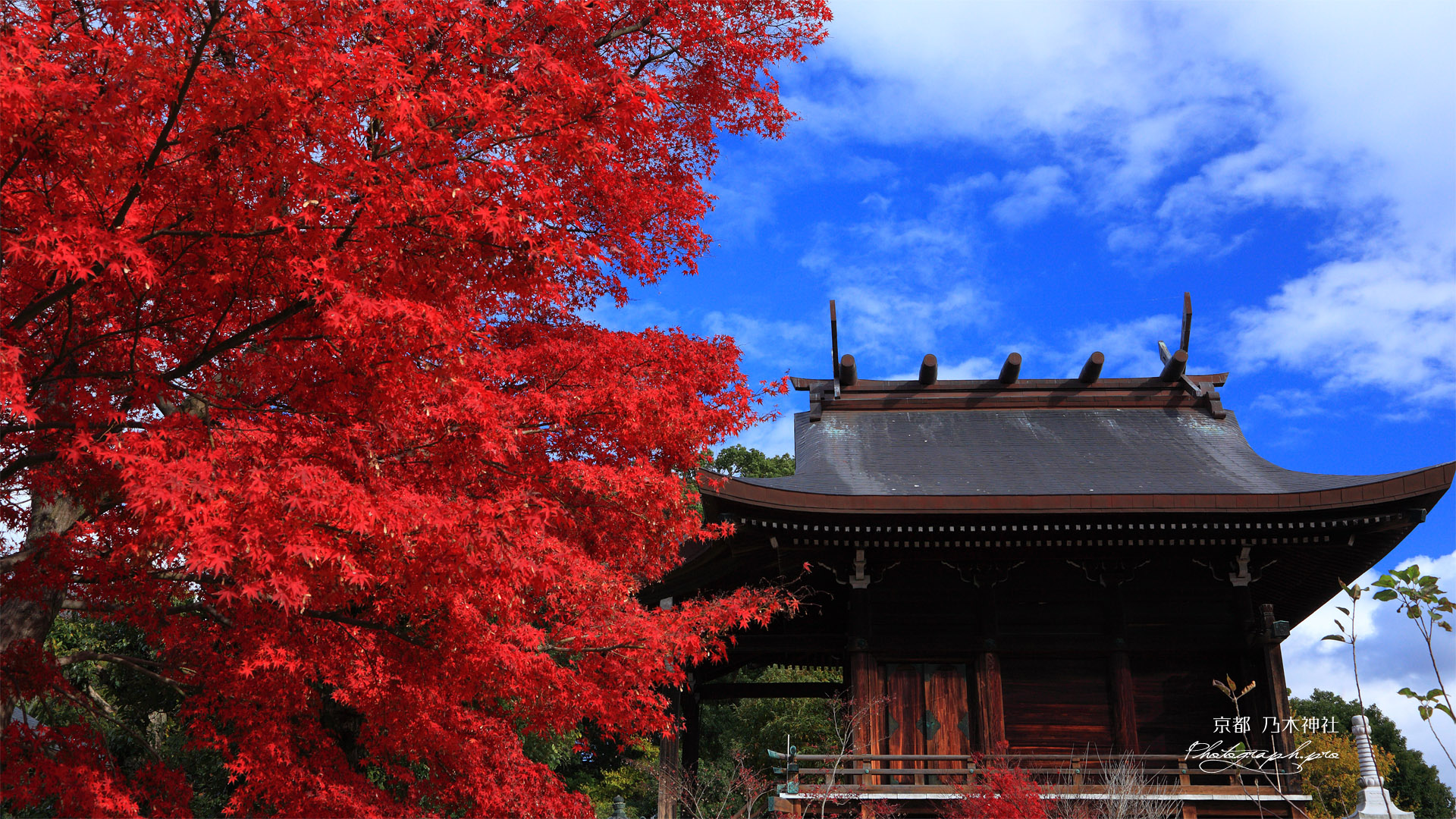 京都乃木神社 紅葉と本殿
