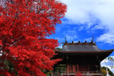 乃木神社