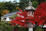 京都乃木神社 紅葉と資料館