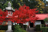 京都乃木神社 紅葉と第三軍司令部