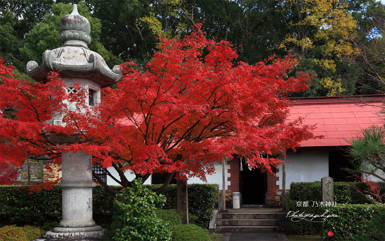 京都乃木神社 紅葉と第三軍司令部 壁紙