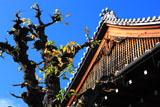 上徳寺