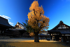 佛光寺
