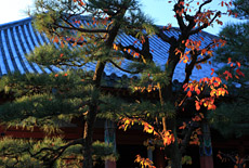 六波羅蜜寺