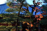 六波羅蜜寺
