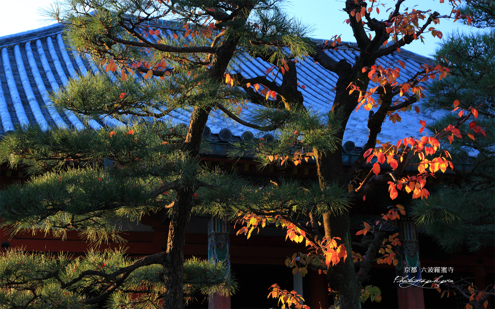 六波羅蜜寺 桜紅葉