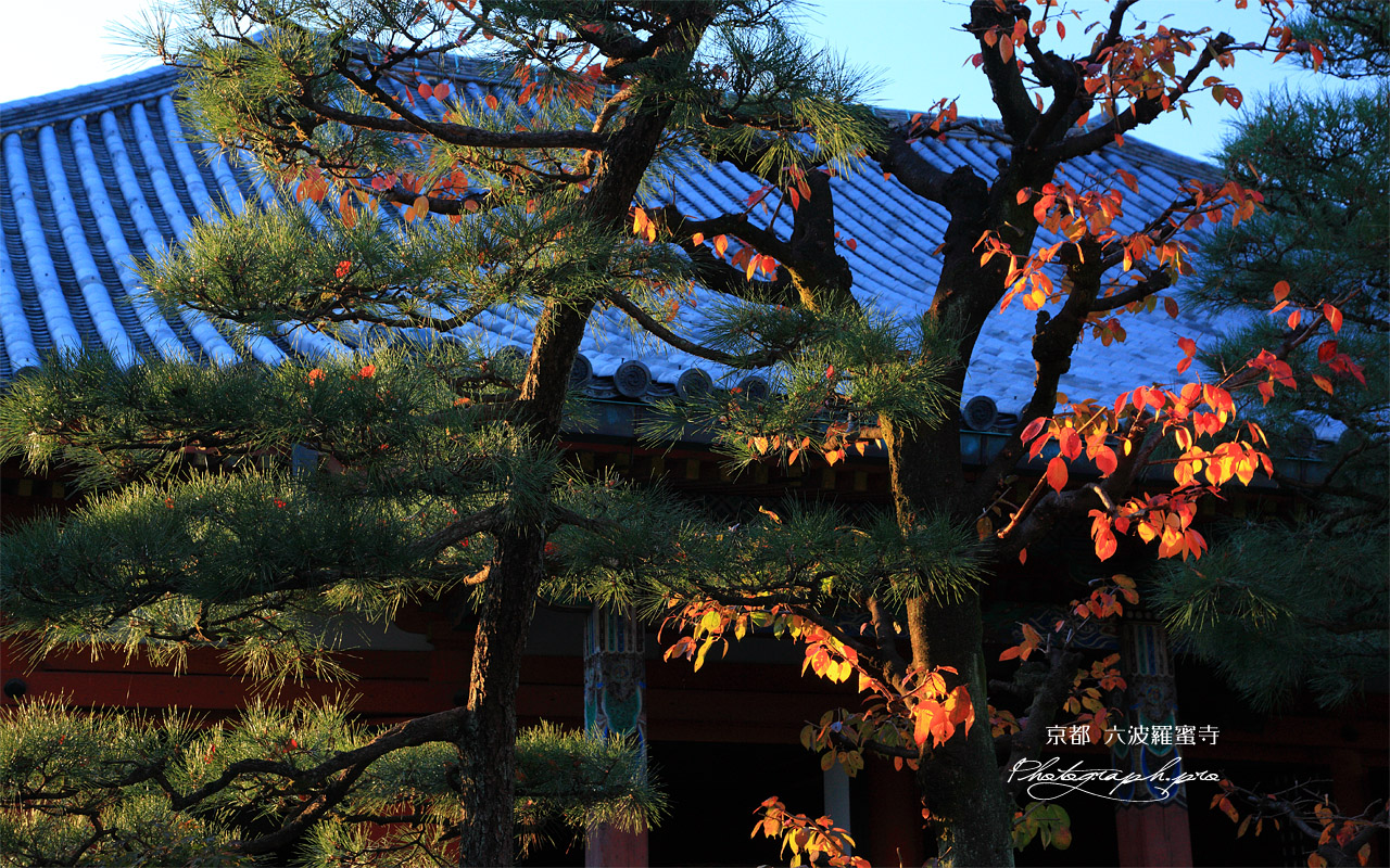 六波羅蜜寺 桜紅葉 壁紙