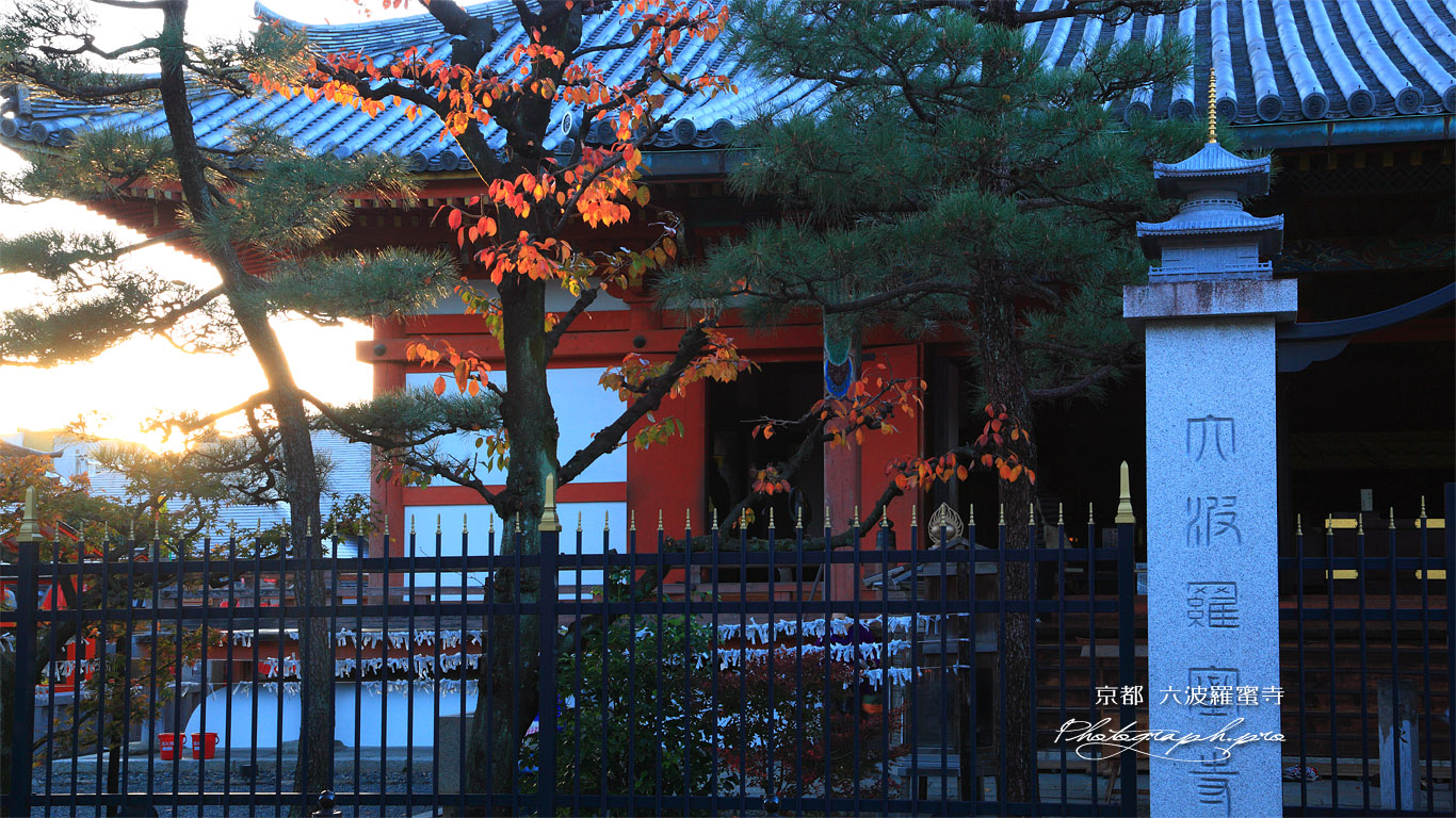 六波羅蜜寺 夕照に本堂 壁紙
