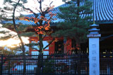 六波羅蜜寺 夕照に本堂