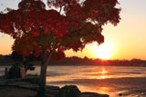 広沢池 紅葉と池干し