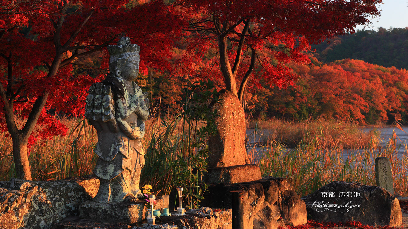 広沢池 観音像と紅葉 壁紙