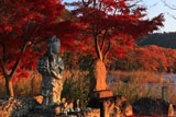 広沢池 観音像と紅葉