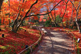 宝厳院 紅葉越しの嵐山