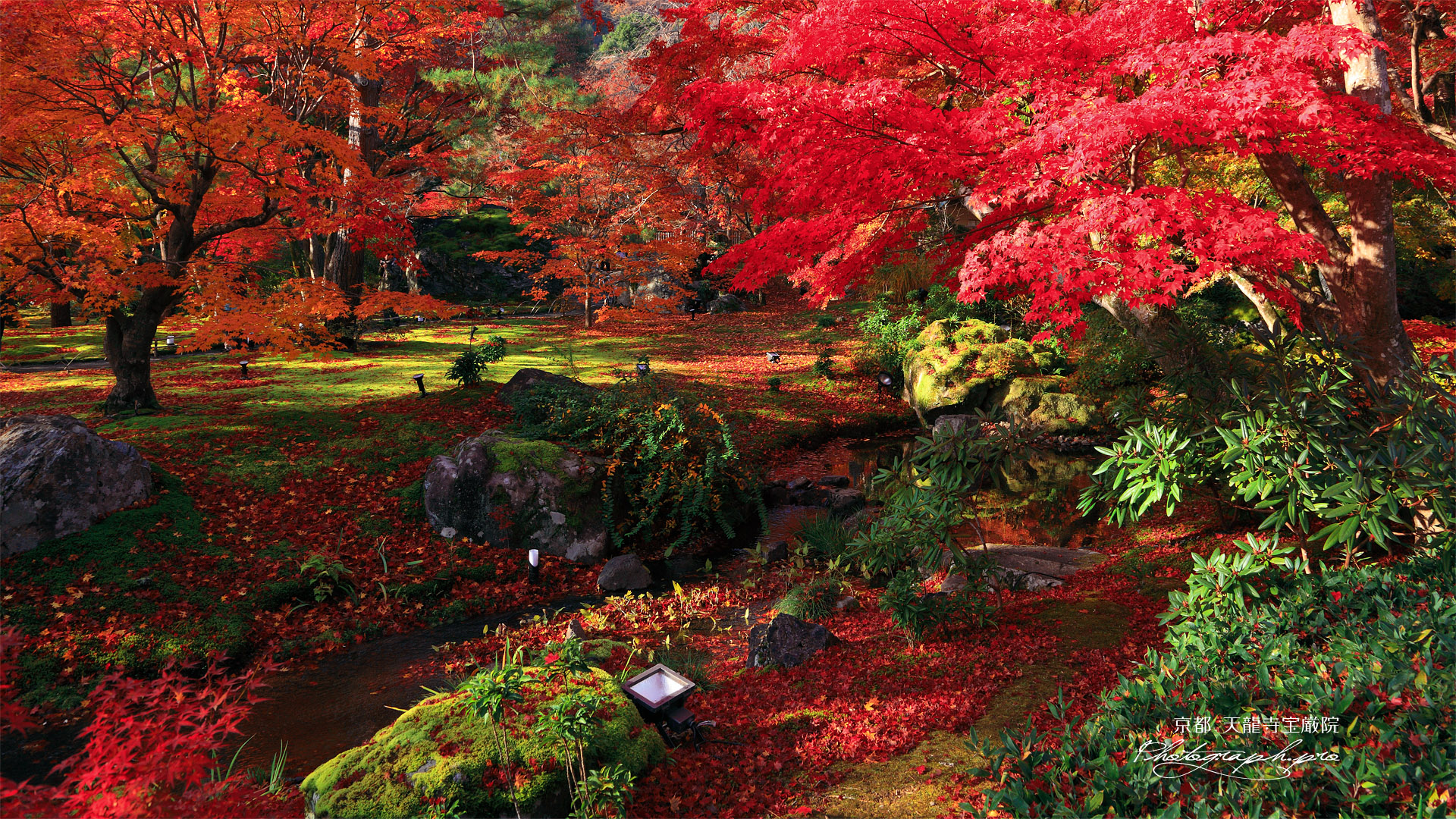 宝厳院 小川と紅葉