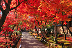 宝厳院