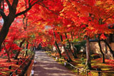 宝厳院