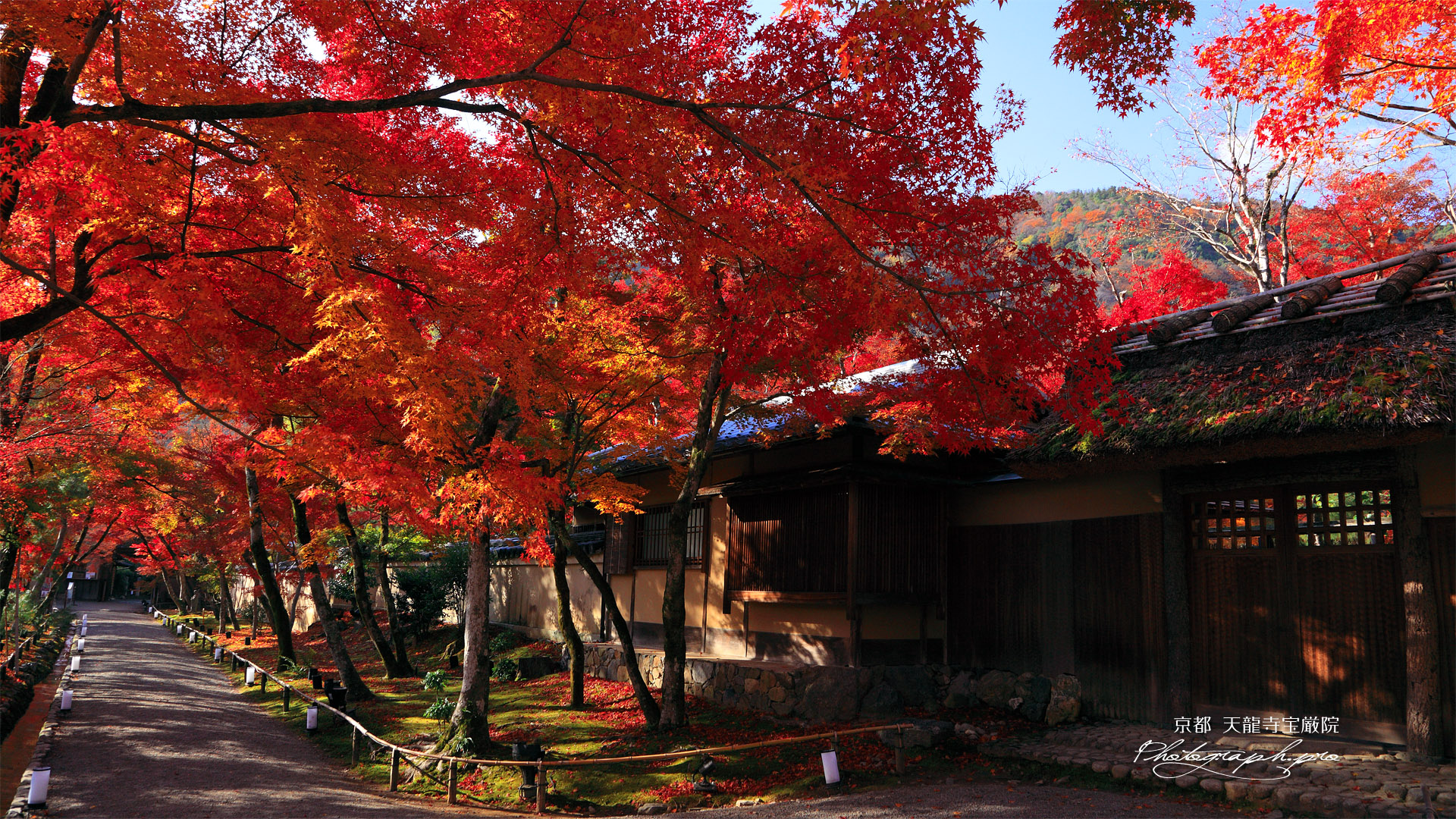 宝厳院 紅葉と書院門