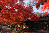 宝厳院 紅葉と書院門