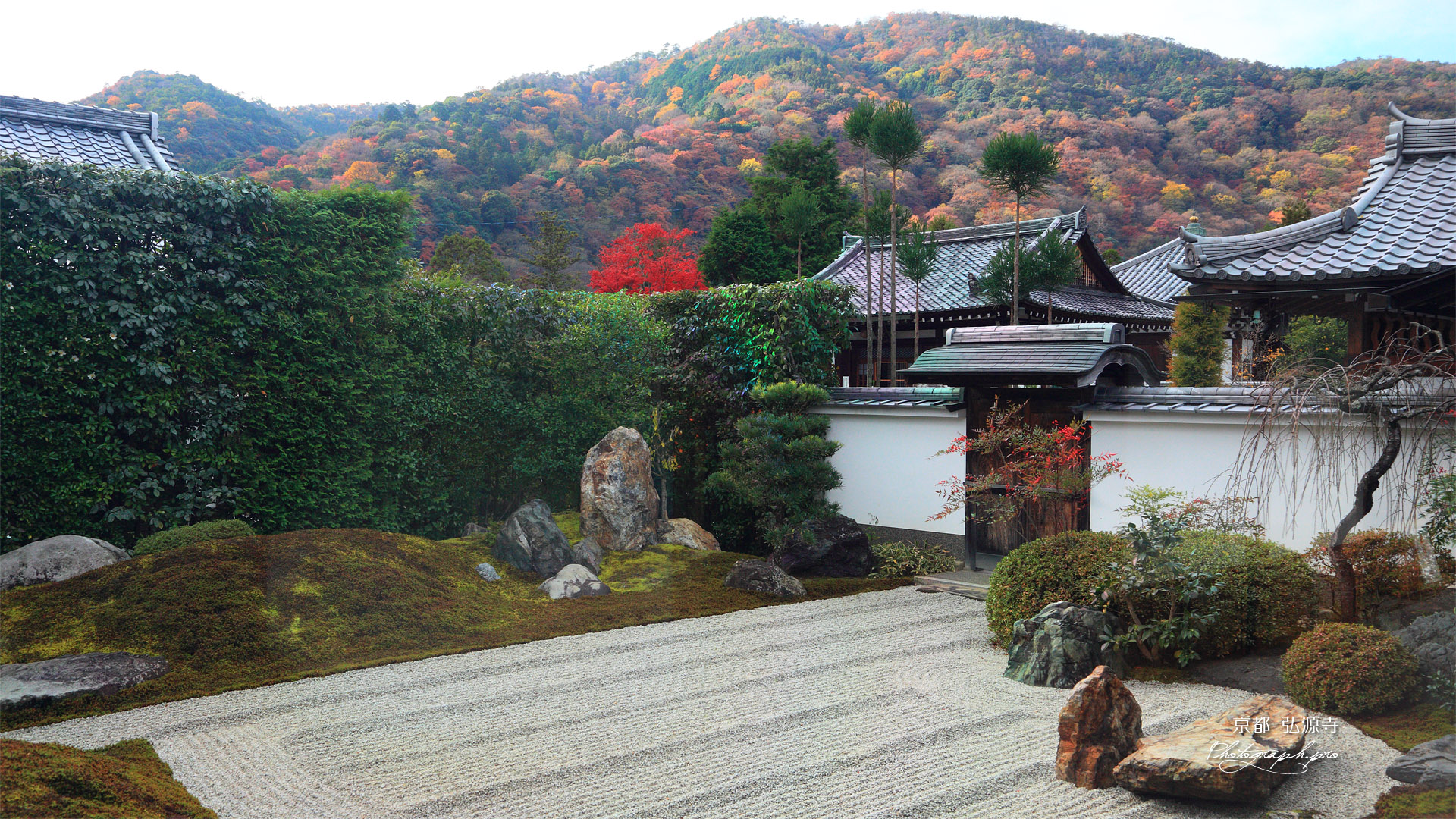 弘源寺 虎嘯の庭と紅葉の嵐山