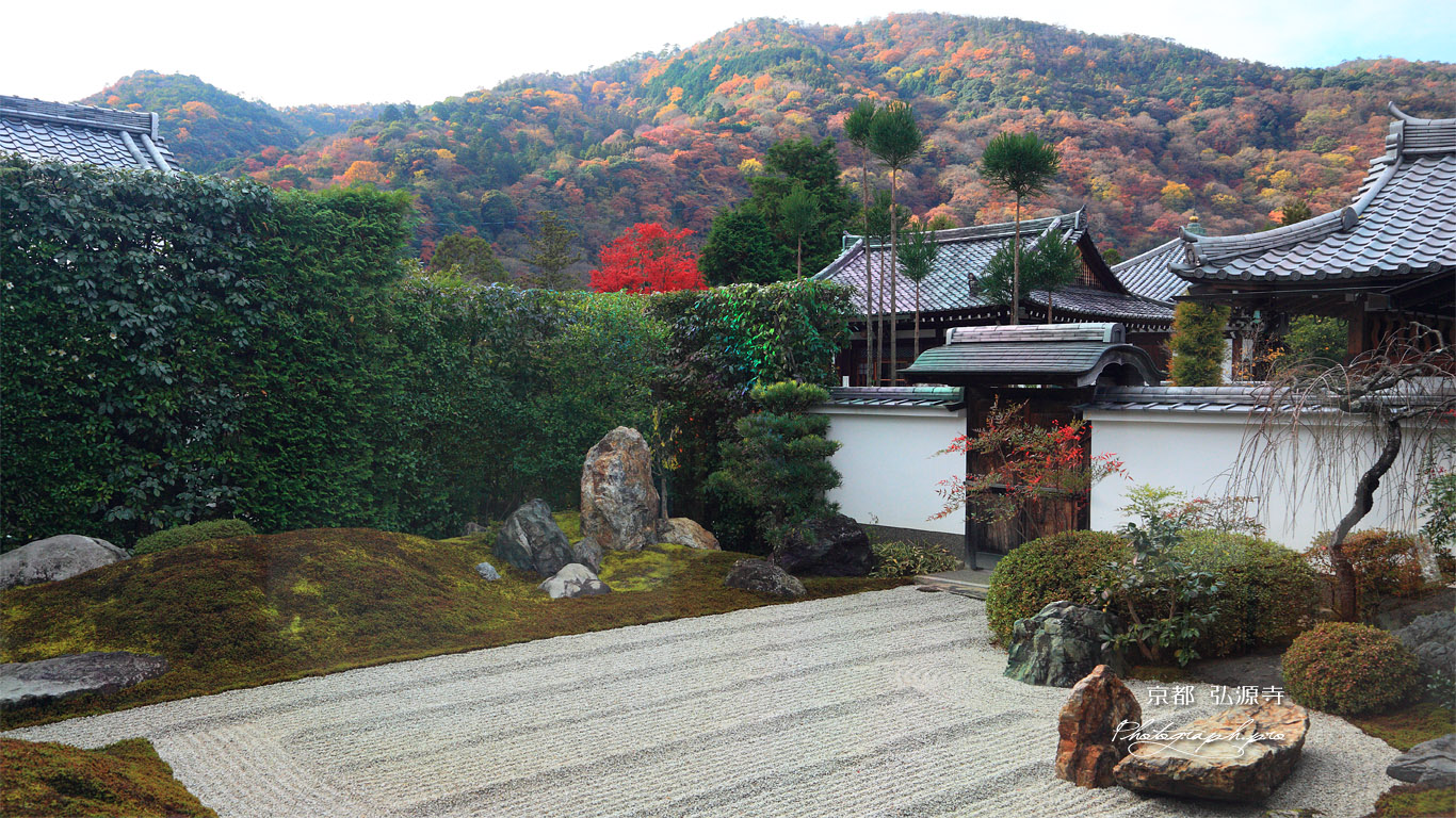 弘源寺 虎嘯の庭と紅葉の嵐山 壁紙